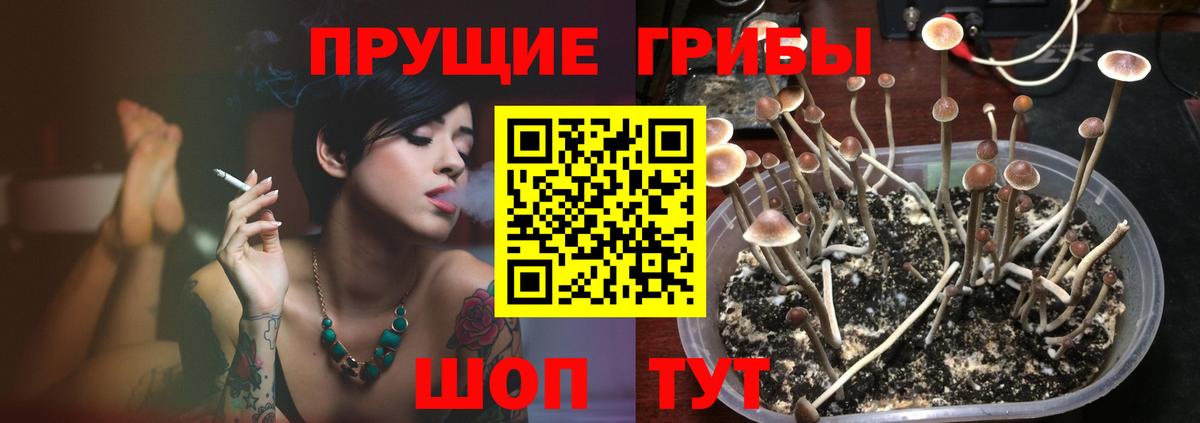 Галлюциногенные грибы Cubensis Нижнекамск