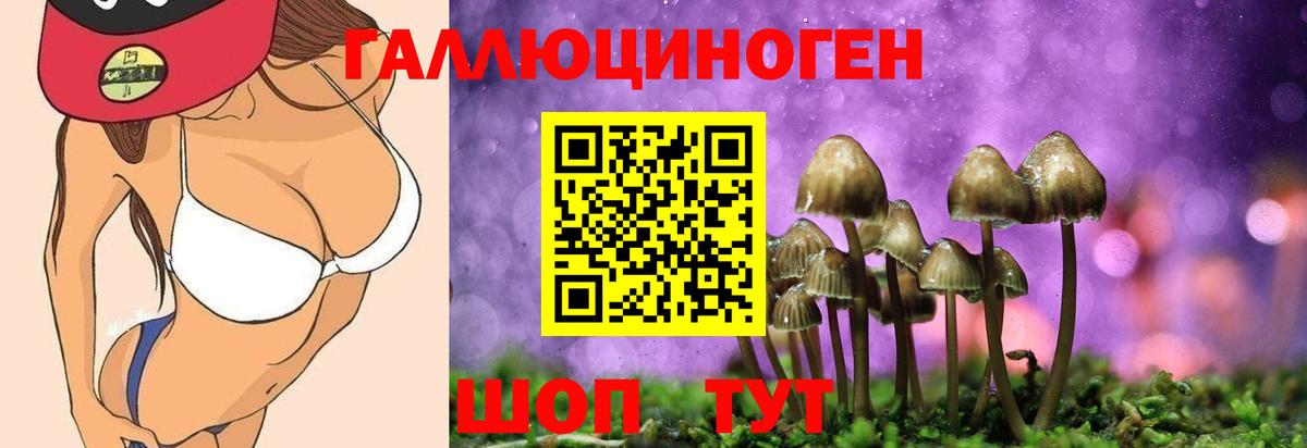 Галлюциногенные грибы ЛСД  Вход с VPN  Нижнекамск  где можно купить   Псилоцибиновые грибы ЛСД 